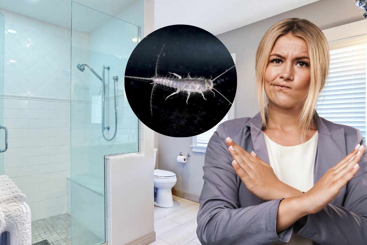 pesciolini d'argento doccia donna gesto no