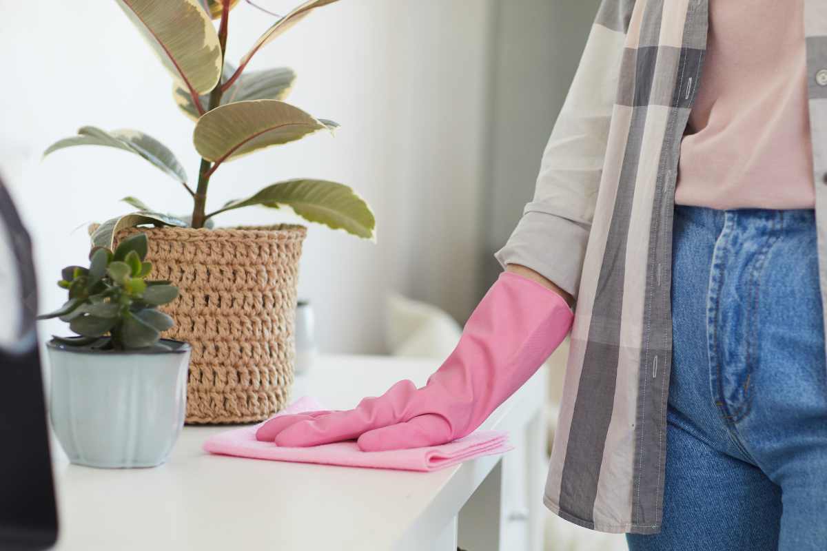 pulizia germi inverno