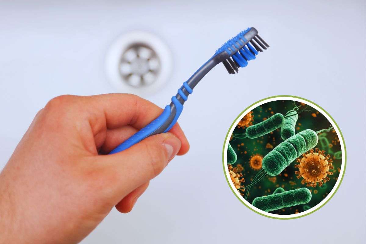 batteri nello spazzolino da denti