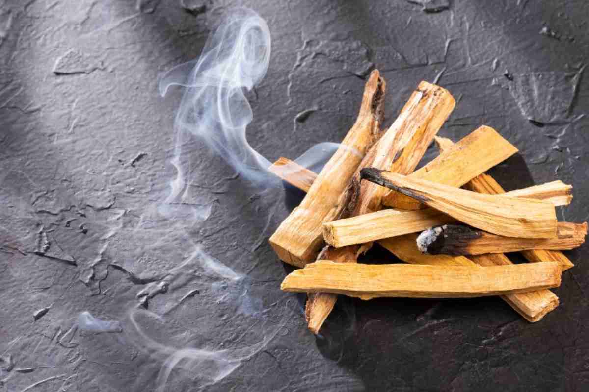 Paolo Santo, benessere