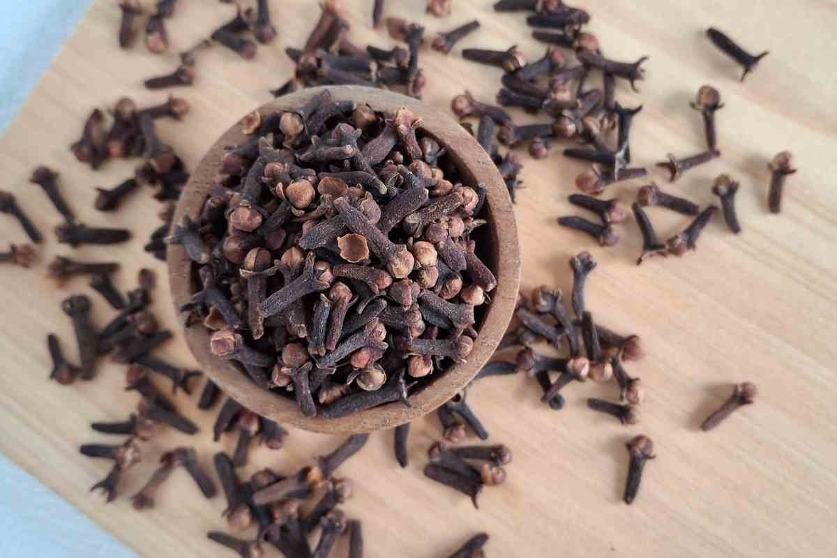 Ho bevuto acqua e chiodi di garofano per 30 giorni