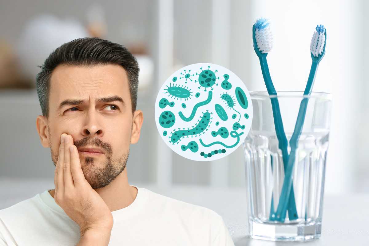 spazzolino uomo mal di denti batteri